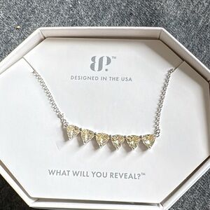 Radiant Silver Necklace with Gold Accents and Intricate Design